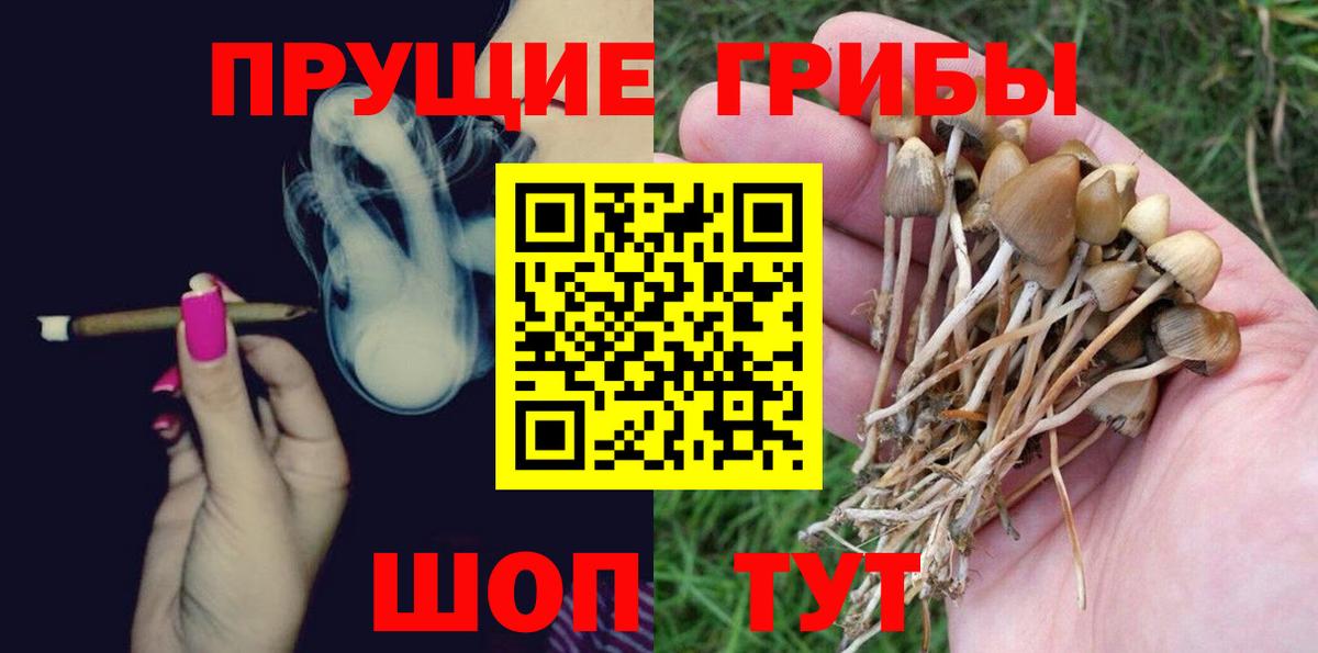 Псилоцибиновые грибы Psilocybe Снежинск